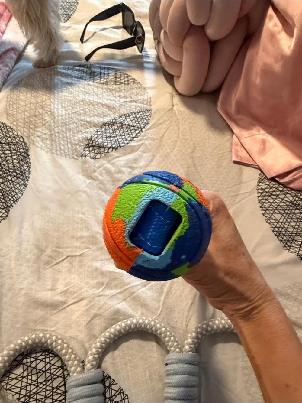 Durable Blue Rope Tug Toy & Colorful Ball Dangler Set